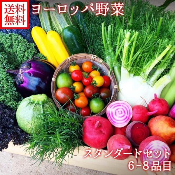 ▼ヨーロッパ野菜をご自宅で♪珍しい野菜も！■商品内容：ヨーロッパ野菜 詰め合わせ スタンダードセット 6-8品※商品・品数ご指定不可■出荷予定日：【日時指定不可】入荷次第、ご予約順に出荷いたします。天候等により、出荷時期が変更となる場合がご...