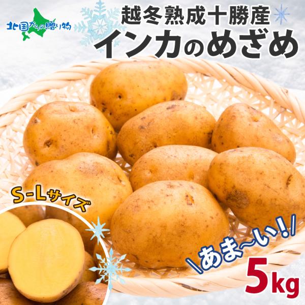 [Release date: July 11, 2024]▼あまーい！ほくほくジャガイモ 越冬熟成 インカのめざめ5kgを北海道十勝からお届けします！■商品内容：越冬熟成　十勝産インカのめざめ 5kg（S-Lサイズ）※サイズ・個数はご指定い...