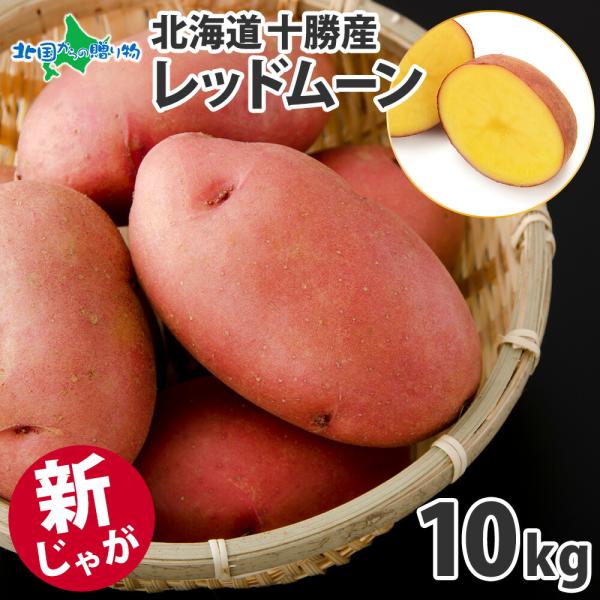 北国からの贈り物 北海道 新じゃが レッドムーン 10kg 十勝産 赤い