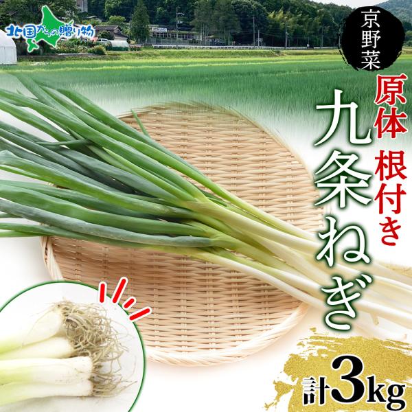 ■商品内容：九条ねぎ 原体（根付き） 3kg 冷蔵■お届け日：【日時指定不可】入荷次第、ご予約順に出荷いたします。天候等により、出荷時期が変更となる場合がございます。■送料：送料無料（沖縄・離島、一部地域は配送不可）■のし：不可■配送方法：...