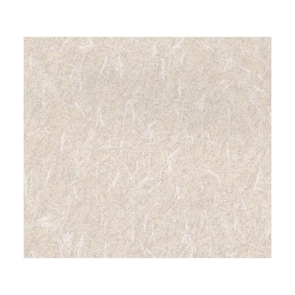 ӂ܎@ ւ ւ lł PV@50