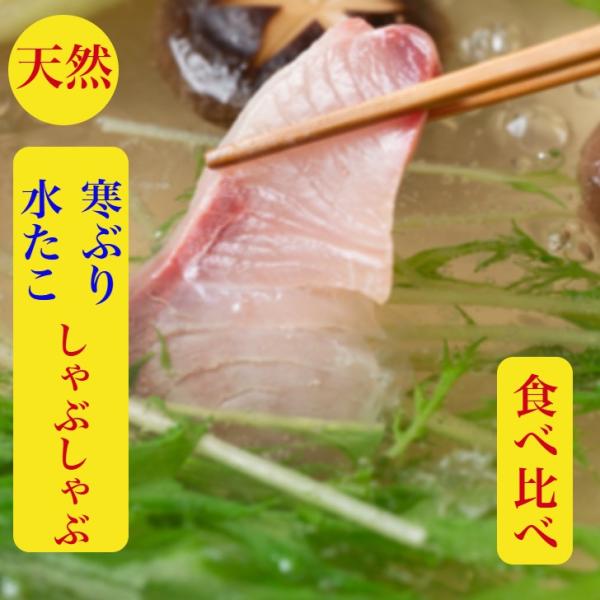 ぶりしゃぶ たこしゃぶ ブリ 鰤 食べ比べ 鍋 セット 送料無料 お取寄せ 北海道 天然 ぶり刺身 水たこ 海鮮 ラーメン付 刺身 ギフト 賞味期限冷凍１０日