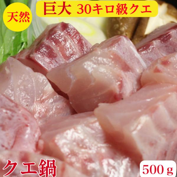 クエ鍋 セット 希少30キロ級 天然 クエ くえ クエ刺身 用使用 クエぶつ身500ｇ 送料無料 お取り寄せ 鍋 海鮮 ギフト 賞味期限冷凍10日　解凍後冷蔵2日