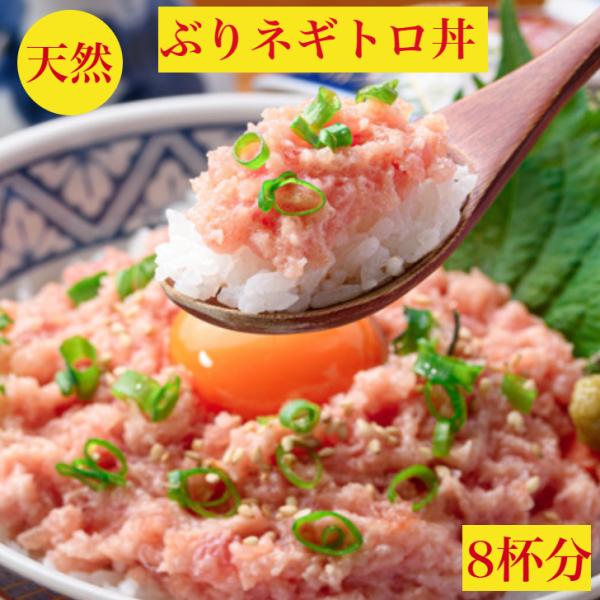 ぶりしゃぶ 用 ブリ 使用 マグロたたき に負けない旨味 天然 鰤 ネギトロ 600ｇ 刺身 用 送料無料 セット 北海道10キロ級 寒ぶり 職人の粗挽き仕込み