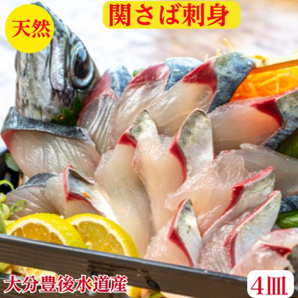 関サバ 関さば 刺身 大分 豊後水道60ｇ×4皿 9枚前後 4人前 解凍するだけ 送料無料 小分け -40度で真空冷凍 時短簡単 職人が調理盛り 賞味期限冷凍10日　