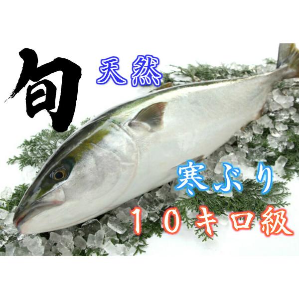 送料無料 10キロ級天然 寒ブリ刺身 寒ぶり兜煮 セット ぶりしゃぶ ぶりしゃぶしゃぶ ぶり刺身 寒ブリ レンジで温めるだけ Buyee Buyee Japanese Proxy Service Buy From Japan Bot Online