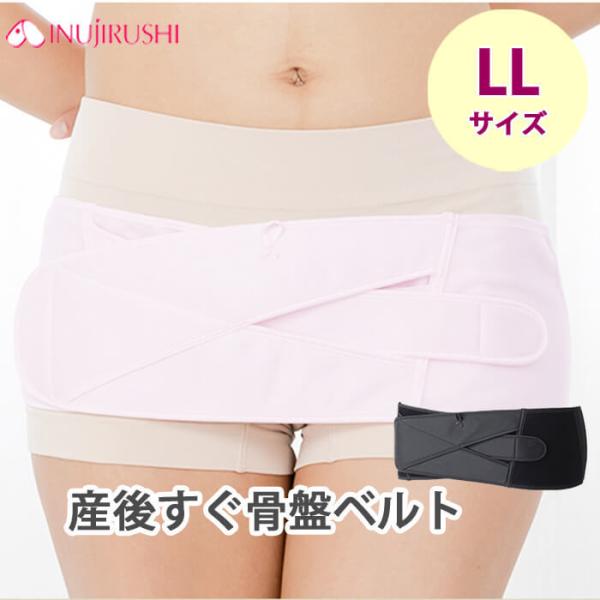 {  YシՃxg }^jeB xg ՃPA LLTCY Y Ճxg  xg T|[g LL