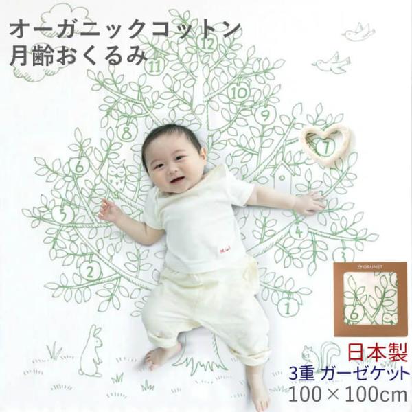  H~ H ~ K[[Pbg oYj I[KjbNRbg   xr[ { Abvc[ I[KjbN Rbg 
