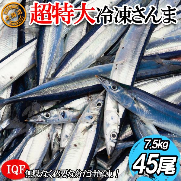 2025年新物 さんま サンマ 秋刀魚 塩さんま 超特大 1尾約160〜170g