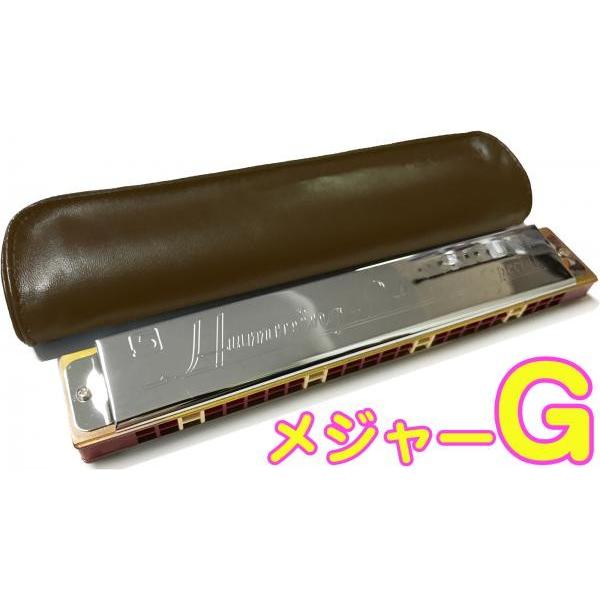 SUZUKI(XYL) Humming-24 G 24 n[jJ XYL n~O {fB y  G major Tremolo harmonica Humming 24