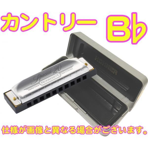HOHNER(z[i[) Jg[ B Special 20 560/20 Country 10 u[Xn[jJ 10Holes blues harmonica XyV20@kC  s