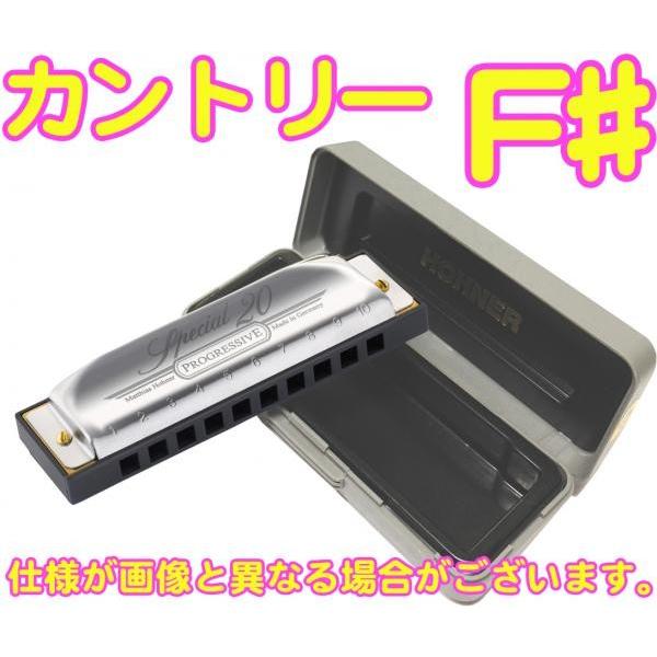 HOHNER(z[i[) Jg[ F Special 20 560/20 Country 10 u[Xn[jJ 10Holes blues harmonica XyV20@kC  s