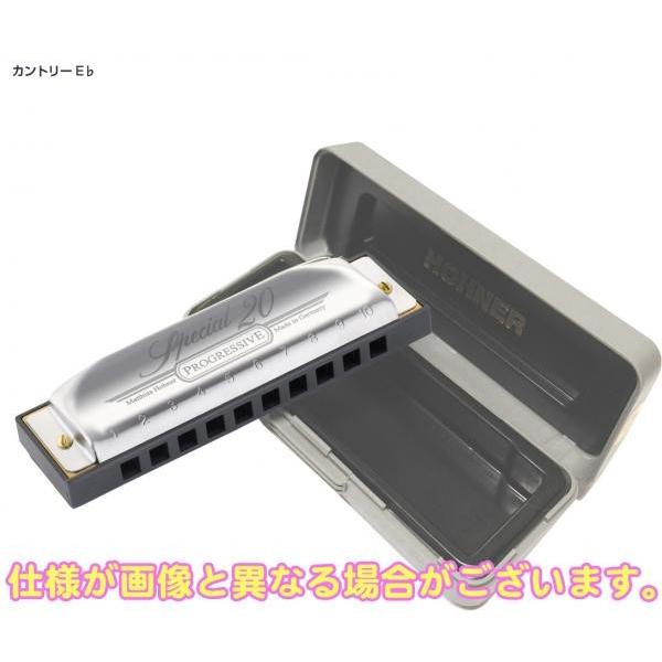 HOHNER(z[i[) Jg[ E Special 20 560/20 Country 10 u[Xn[jJ 10Holes blues harmonica XyV20@kC  s