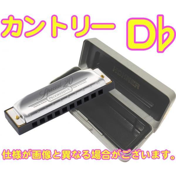 HOHNER(z[i[) Jg[ D Special 20 560/20 Country 10 u[Xn[jJ 10Holes blues harmonica XyV20@kC  s