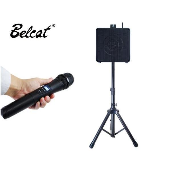 BWPA-30W Wireless Portable PA System