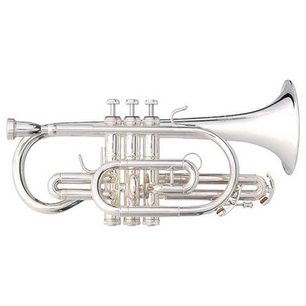 B&amp;Sはドイツが世界に誇る現代最高水準の金管楽器ブランドと言われています。B&amp;Sがその技術を注ぐ「最高の吹奏感」「正確な音程」「豊かで美しい音色」が評価。トランペットと同じ運指、音域を持ちますが、管の巻の状態などが異なり、ト...