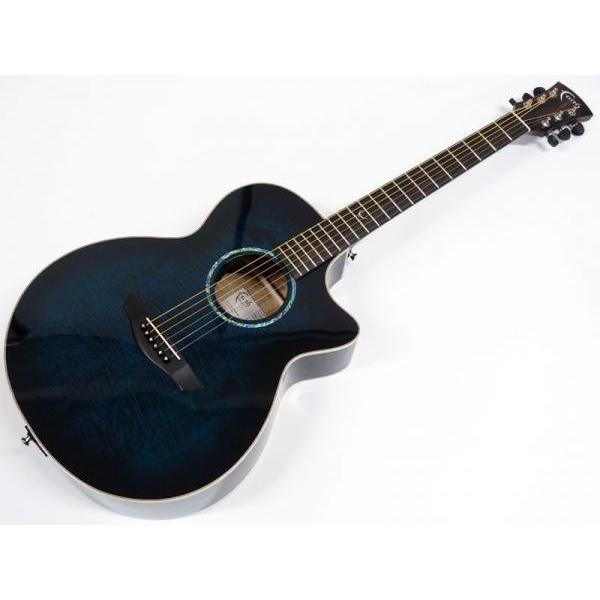 Faith FVBLM BLUEMOON VENUS【アコースティックギター エレアコ 日本