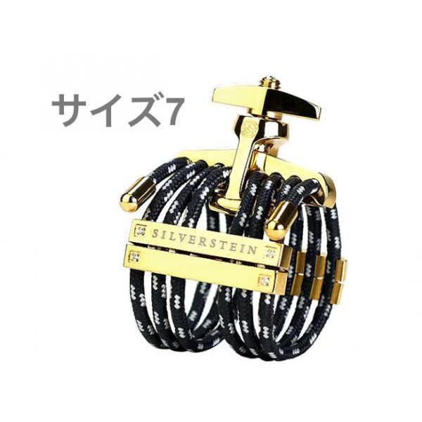 Silverstein HG507A wLT VpS[h 7 K`[ Nlbg AgTbNX clarinet Alto sax HEXA Champagne size7@kC  s