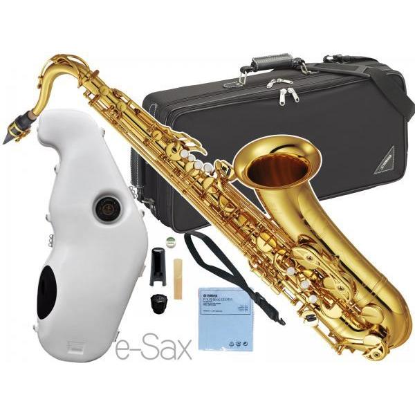 e-saxの人気商品・通販・価格比較 - 価格.com e-saxの人気商品・通販・価格比較 - 価格.com
