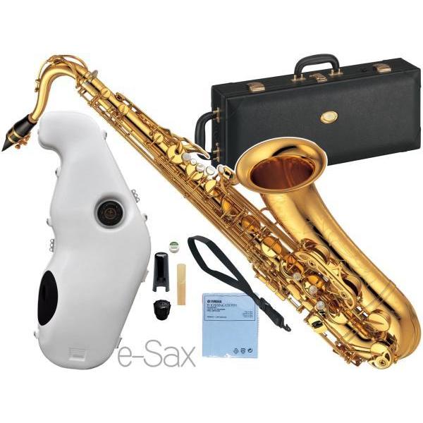 e-saxの人気商品・通販・価格比較 - 価格.com e-saxの人気商品・通販・価格比較 - 価格.com