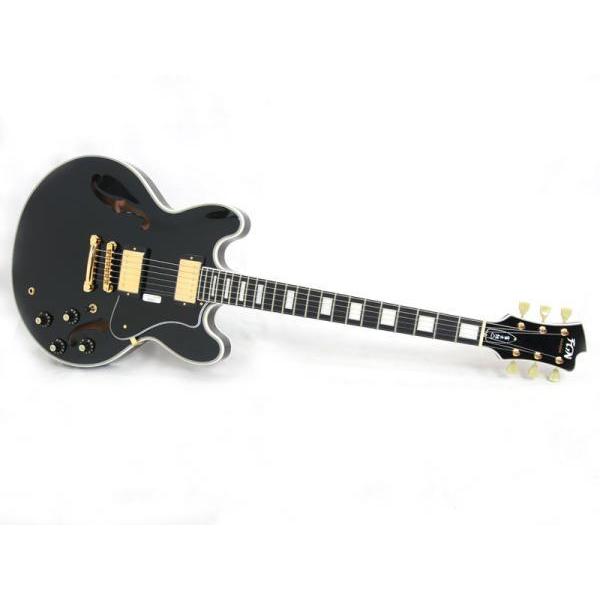 FgN(フジゲン) MSA-HP-C BK 国産 セミアコ エレキギター Fujigen