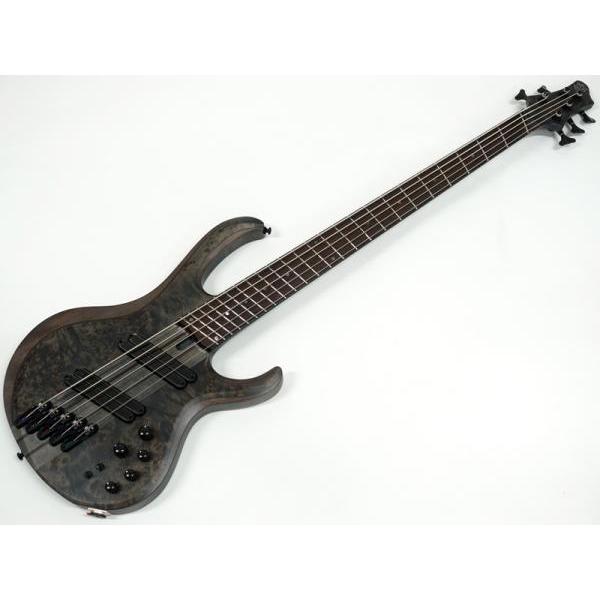 Bass Workshop BTB805MS-TGF