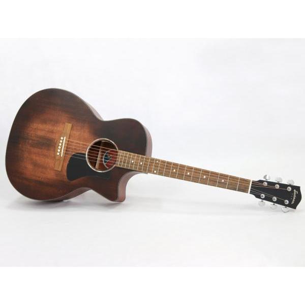 Eastman　エレアコ Eastman PCH1-GACE Thermo-Cure Natural (サーモキュア