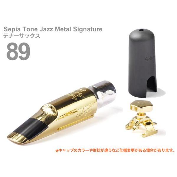 テナーサックスマウスピースゴッツ SEPIA TONE MASTER 89