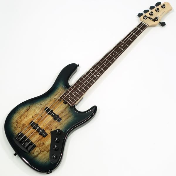 Kikuchi Guitars Custom 5st J Bass / Spalted Maple Top Trans Blue