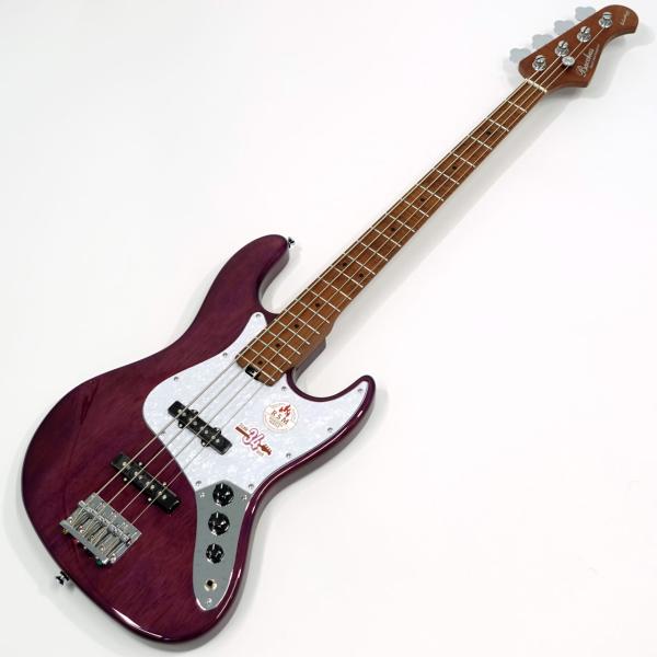 Global Series WL4-STD/RSM ST-PPL
