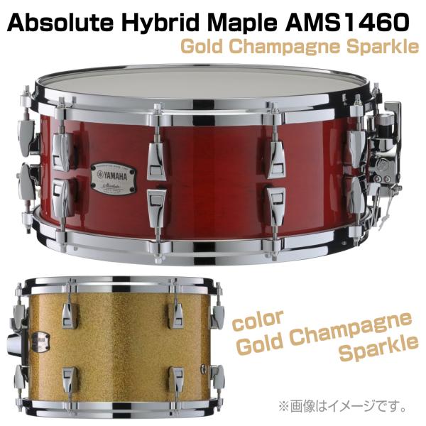 YAMAHA(ヤマハ) AMS1460 Gold Champagne Sparkle Absolute Hybrid Maple ドラム スネア 木胴 メイプル アブソリュート【 6月26日時点メーカー在庫あり  】
