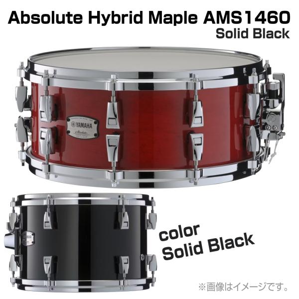 YAMAHA(ヤマハ) AMS1460 Solid Black Absolute Hybrid Maple ドラム スネア 木胴 メイプル アブソリュート【 6月26日時点メーカー在庫あり  】