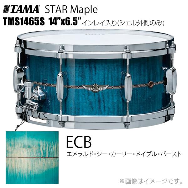 TAMA STAR Maple TMS1465S ECB インレイ入り（シェル外側のみ） ドラム スネア【 受注生産 納期要確認  代引不可 ケース付き  6月26日時点メーカー在庫無し  】