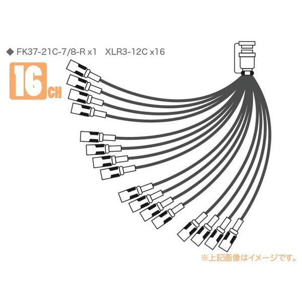 CANARE(Ji) 16S2F1  16ch Zp[gR[h EFK37-21C-7/8-R x1 XLR3-12C×16