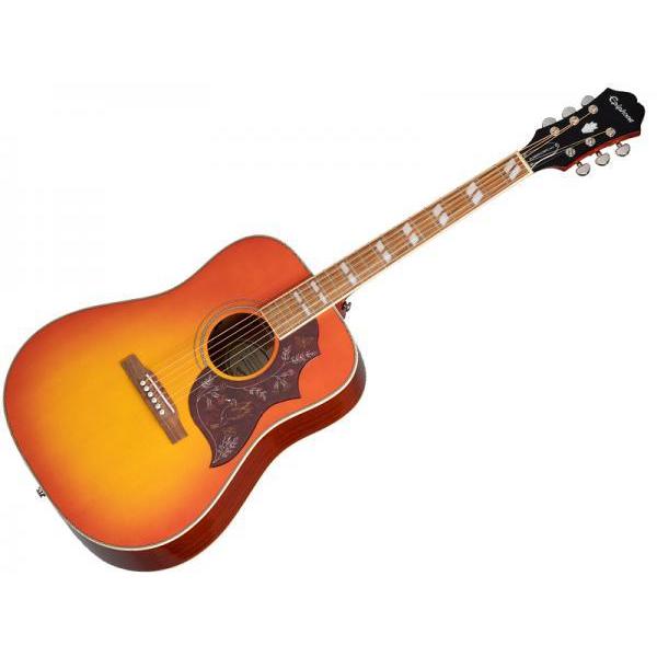 ギブソン hummingbird ギター アコースティックの人気商品・通販・価格 