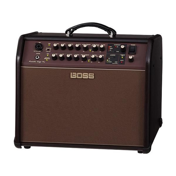 Roland(���[�����h) Acoustic Singer Pro