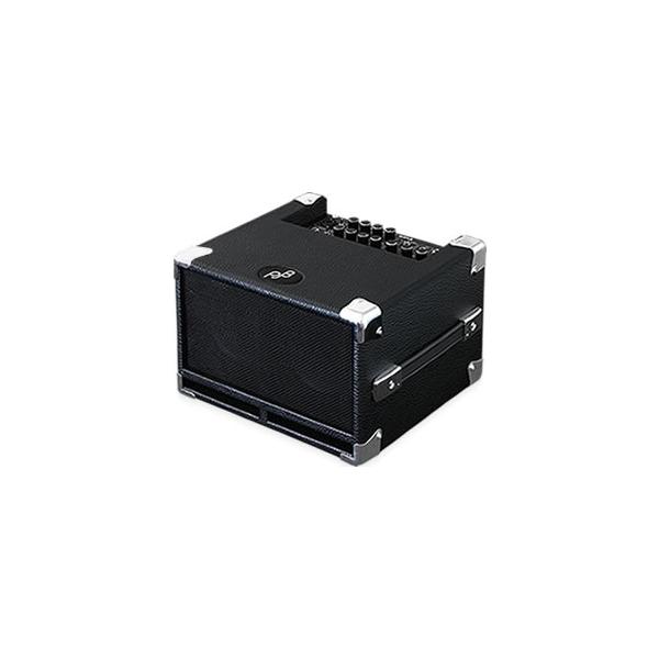 Bass Cub BG-100
