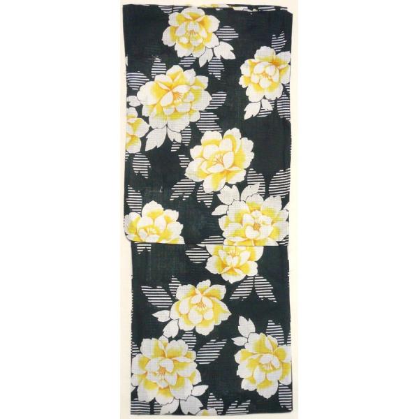 �����p���C�h�T�C�Y�䂩���E���n���F�̉��O��(pw0s03f)