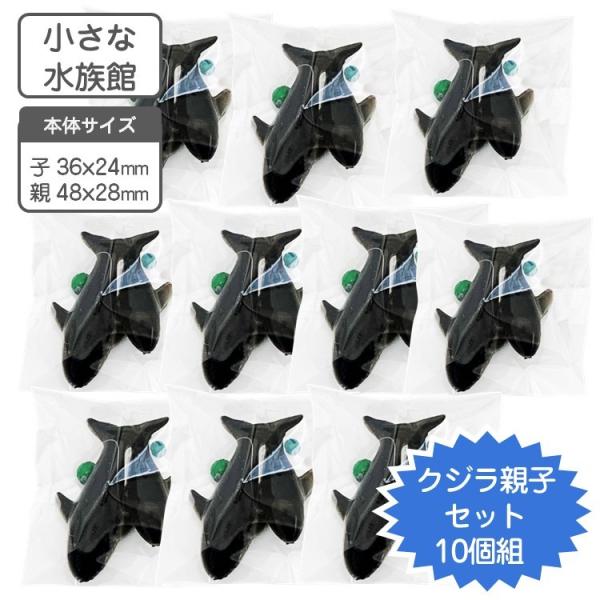 ANAE   NW̐eq 10Zbg@ȐكV[Y