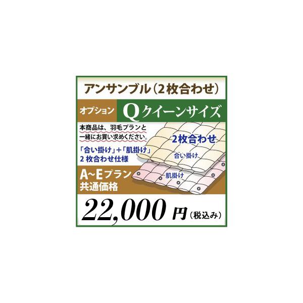 羽毛布団リフォームA〜Eプラン　クイーンサイズ　オプション　アンサンブル（2枚合わせ）