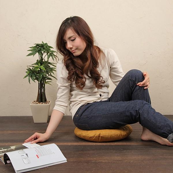 �ۍ��z�c�@40����R �J�o�[�@�Ȃ��݁@���炵�F