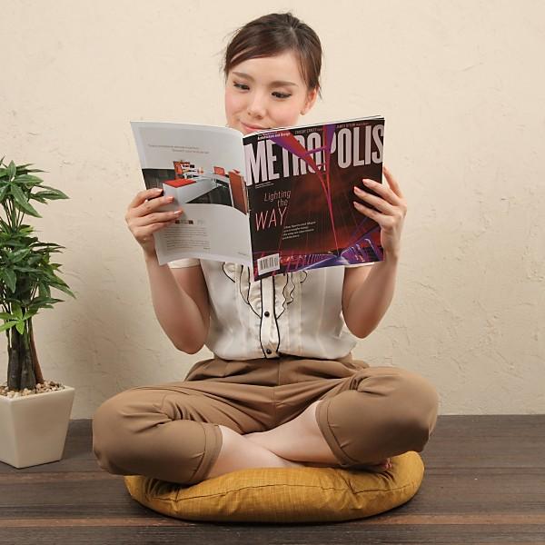 �ۍ��z�c�@60����R �J�o�[�@�Ȃ��݁@���炵�F