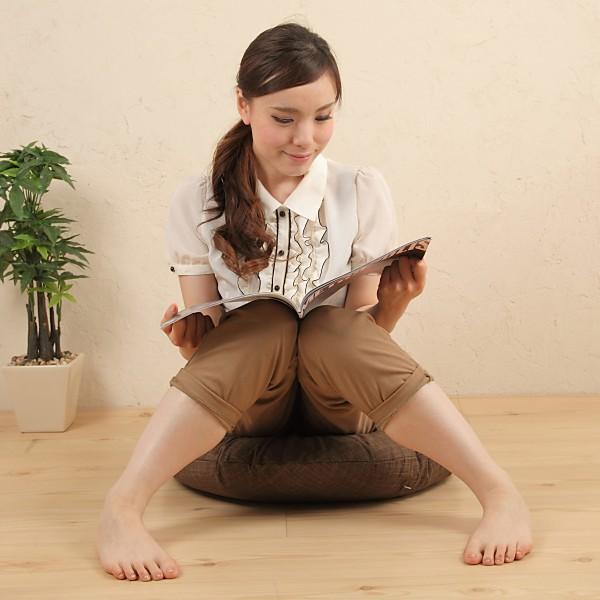 �ۍ��z�c�@60����R �J�o�[�@�Ȃ��݁@����ݐF