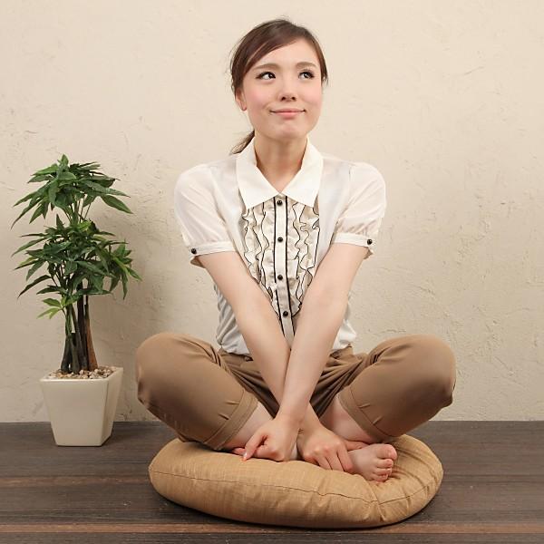 �ۍ��z�c�@60����R �J�o�[�@�Ȃ��݁@���F