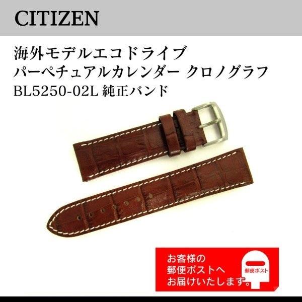 CITIZEN 純正 レザーバンド BL5250-02L 用 22mm シチズン 腕時計