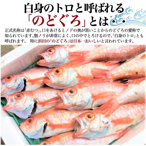 のどぐろ一夜干し 約270g前後 2フローズン 高級魚 のどくろ 贈答用 お歳暮 お中元 贈り物 父の日 クール冷凍便 風呂敷包み のし 熨斗 Www Cholarisk Com