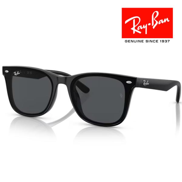 Ray-Ban（レイバン） RayBan サングラス メガネフレーム 65□18