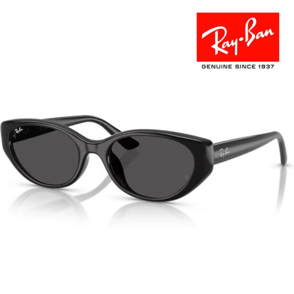 Ray-Ban ブラックフレーム メガネ ケース付き Ray-Ban RayBan レイバン サングラス メガネフレーム 51□20