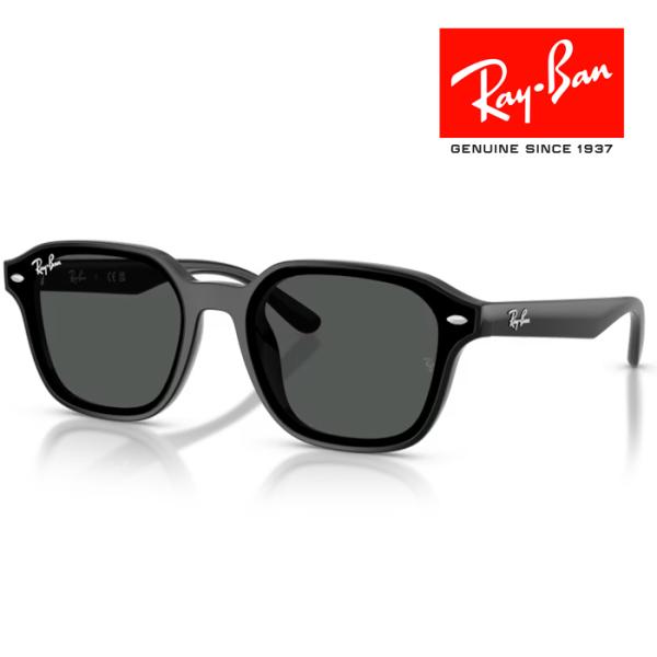 Ray-Ban（レイバン） RayBan サングラス メガネフレーム 65□18