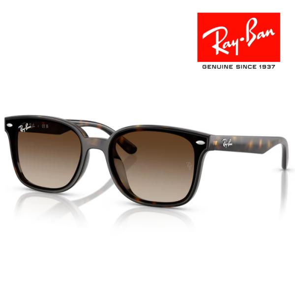 Ray-Ban（レイバン） RayBan サングラス メガネフレーム 64□17